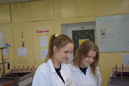 TFNiS 2024 - Chemiczny sezam [fot. Magdalena Barwiołek]